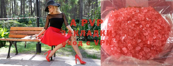 индика Балахна