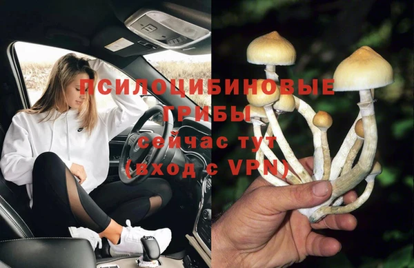 дурь Арсеньев