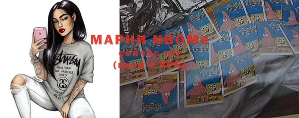 индика Балахна