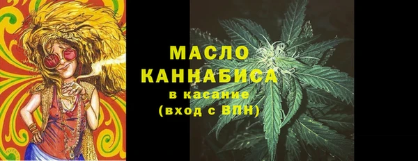 индика Балахна